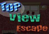 play Top View Escape