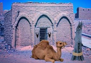 play Desert Camel Escape