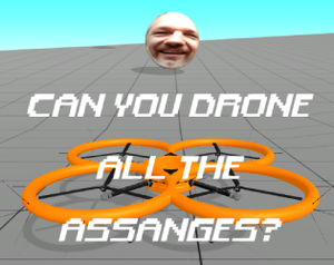 play Let'S Drone Assange!