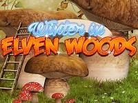 play The Elven Woods