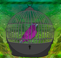 play Zooo Bird Escape