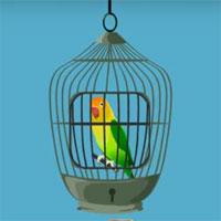 Yellow Parrot Cage Escape