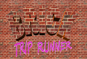 Brick Trip Runner