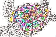 Animal Mandala Coloring Book