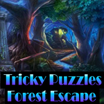 play Tricky Puzzles Forest Escape