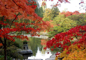 Crystal Hunter Zen Gardens