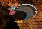 play Mysterious Turkey Forest Escape