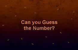 play Guess The Number