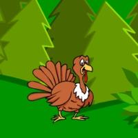 Lost Turkey Escape game