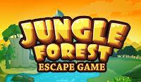 Jungle Forest Escape