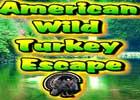 play American Wild Turkey