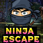 play Ninja Escape