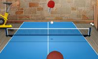 play Table Tennis Challenge