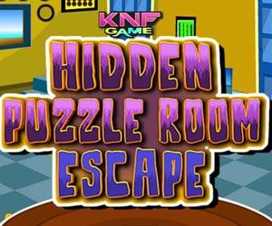 play Hidden Puzzle Room Escape