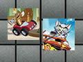 Tom And Jerry Racing Memory