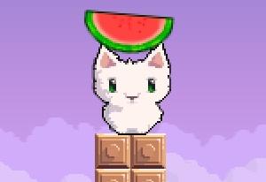 play Cat Cat Watermelon