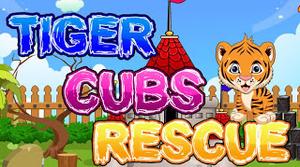 Tiger Cubs Rescue Escape