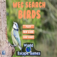 Weg Search Birds