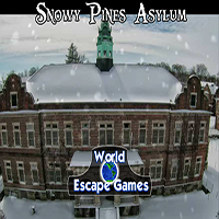 play Snowy Pines Asylum
