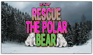 play Rescue The Polar Bear