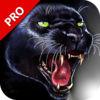 Black Panther Hunting 3D Game Pro