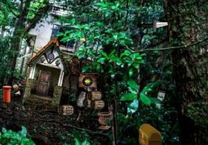 Urbex Forest House