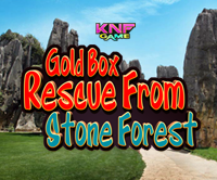 play Gold Box Rescue From Stone Forest