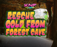 Rescue Gold From Forest Cave