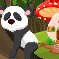 play Panda Escape