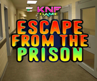 play Escape From The Prison