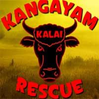 play Kangayam Kalai Rescue Escape