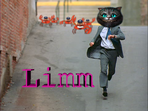 Limm