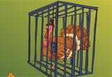 play Rescue Turkey From Cage