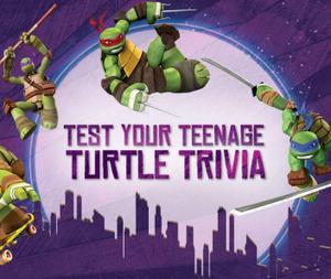 Test Your Teenage Turtle Trivia