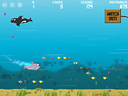 play Big Fat Dolphin Game