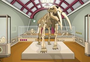 Museum Escape (Ena Games