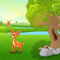 play Games2Jolly Feed The Baby Deer