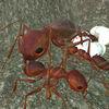 Ant Simulation 3D