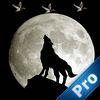 A Wolf Hunt In The Light Of The Moon Pro
