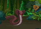 play Cobra Forest