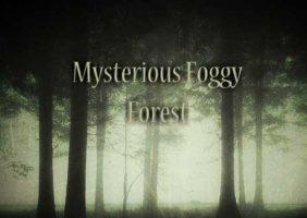 Mysterious Foggy Forest Escape