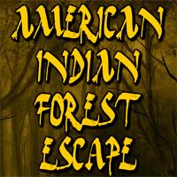 American Indian Forest Escape