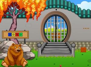 play Forest Baby Bear Rescue