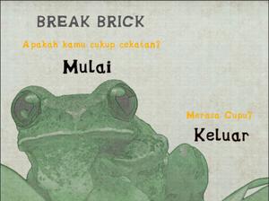 Break Brick
