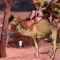play Arabian Desert Escape