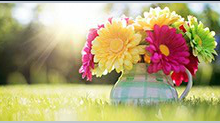 Amajeto Hotel: Flowers