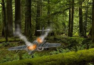 Plane Crashed Forest Escape