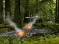 Plane Crashed Forest Escape