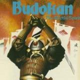 play Budokan: The Martial Spirit