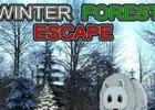 Winter Forest Escape